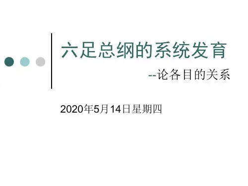 2005-B1-六足总纲的系统发育28