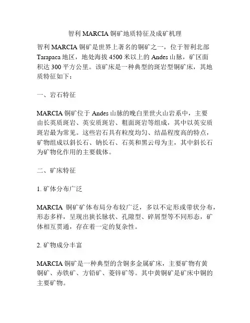 智利MARCIA铜矿地质特征及成矿机理