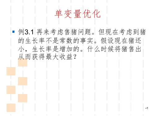最优化计算方法PPT课件