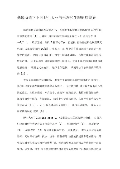 低磷胁迫下不同野生大豆的形态和生理响应差异