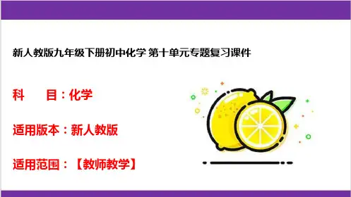 新人教版九年级下册初中化学 第十单元专题复习课件