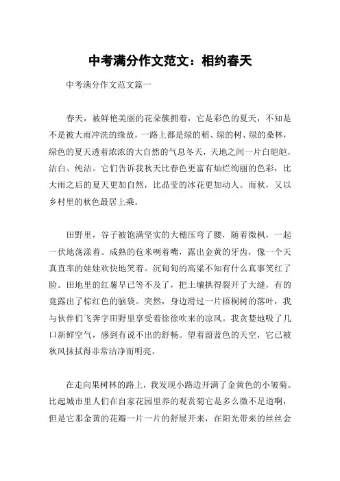 中考满分作文范文：相约春天