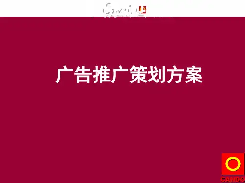 某项目广告推广策划方案