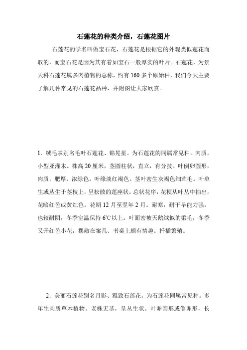 石莲花的种类介绍,石莲花图片.doc