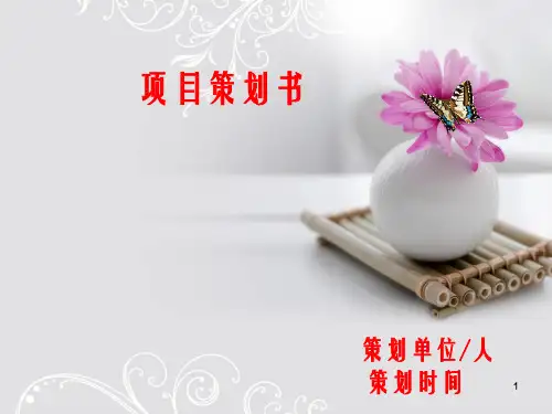 《项目策划书》PPT课件