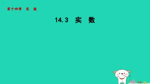 2024八年级数学上册第十四章实数14.3实数课件新版冀教版
