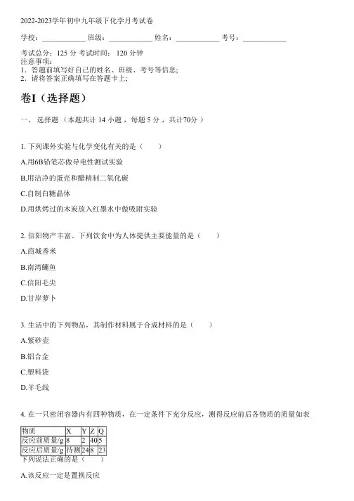 2022-2023学年人教版九年级下化学月考试卷(含解析)