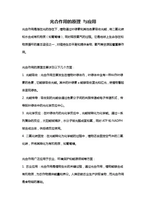 光合作用的原理 与应用