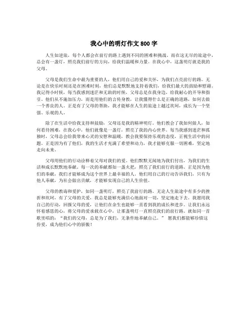 我心中的明灯作文800字