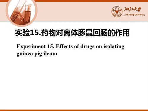 实验课药物对离体豚鼠回肠的作用