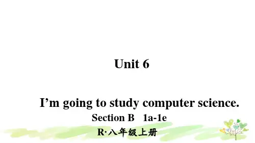 新人教八年级上册英语第3课时(Section B 1a-1e)