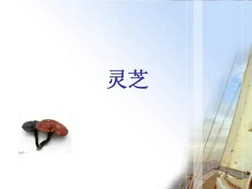 灵芝