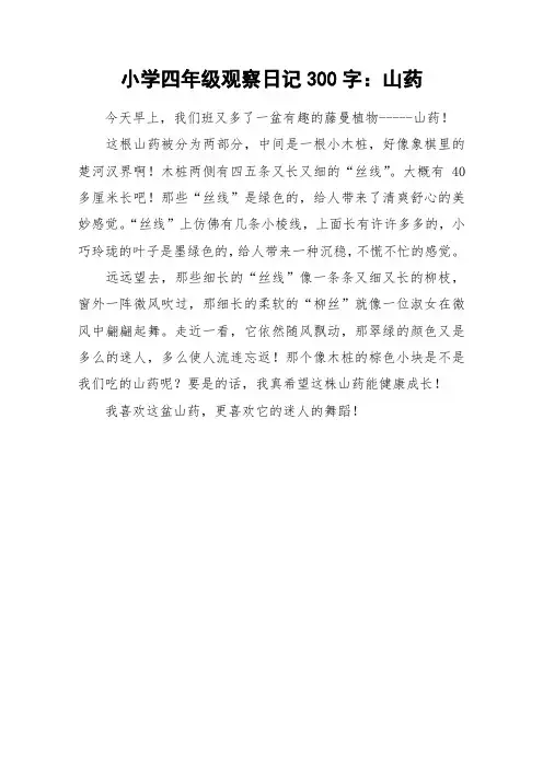 小学四年级观察日记300字：山药_作文