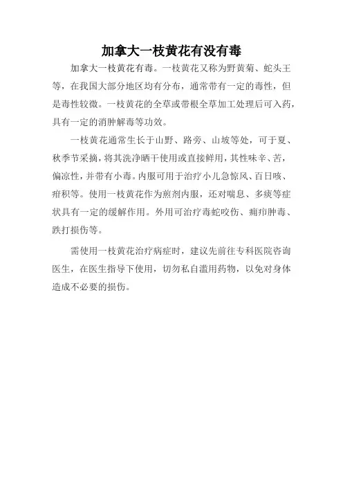 加拿大一枝黄花有没有毒