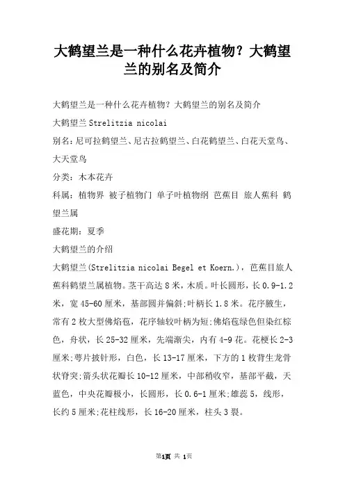 大鹤望兰是一种什么花卉植物？大鹤望兰的别名及简介