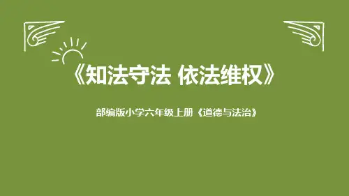 六年级道德与法治上册 (知法守法 依法维权)教育教学课件