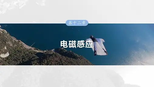 2025高考物理总复习法拉第电磁感应定律自感和涡流