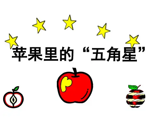 苏教版小学四年级下册语文：苹果里的五角星_课件1