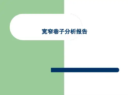 宽窄巷子分析报告