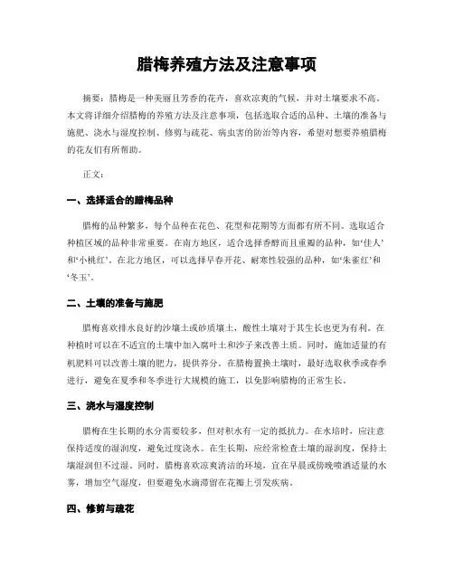 腊梅养殖方法及注意事项