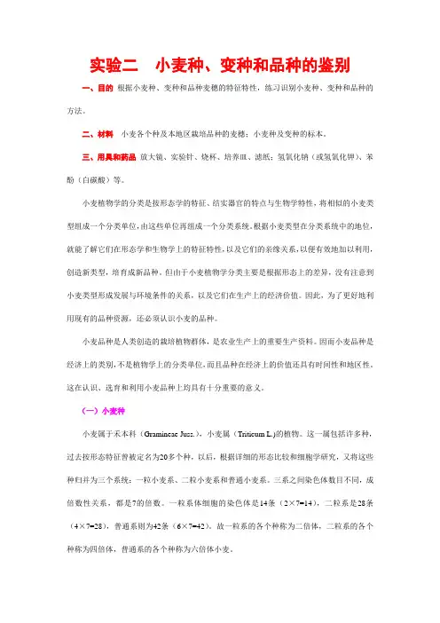 小麦形态特征的辨认