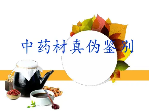 中药真伪鉴别  ppt课件