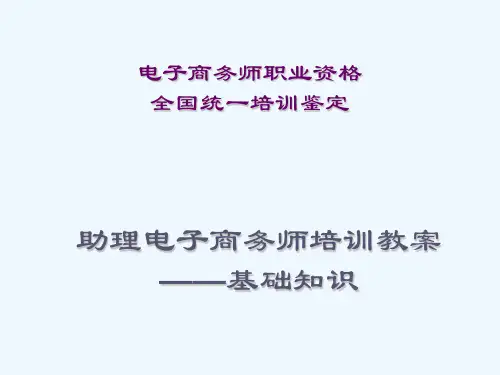 助理电子商务师培训教案