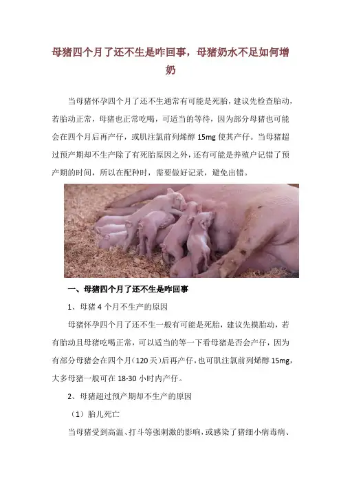 母猪四个月了还不生是咋回事,母猪奶水不足如何增奶