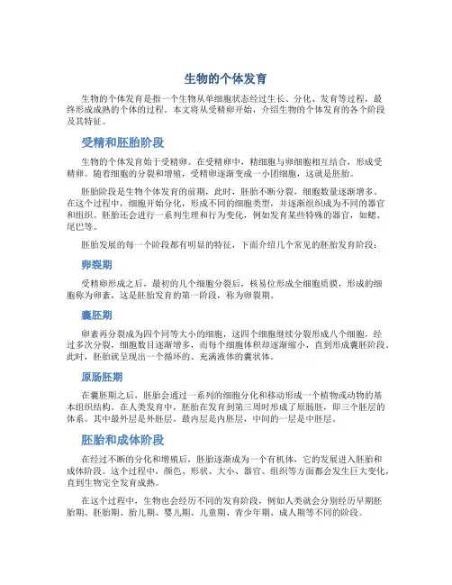 生物的个体发育