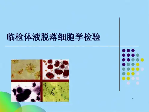 胸腹水脱落细胞学检验ppt(共46张PPT)
