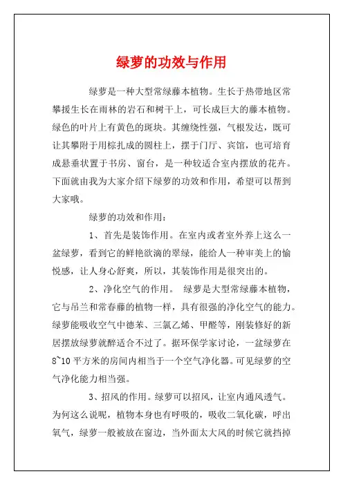 绿萝的功效与作用
