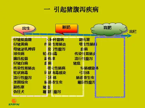 猪腹泻疾病PPT课件