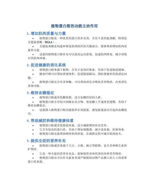 植物蛋白粉的功能主治作用