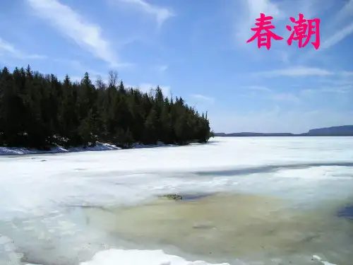 北师大版四年级语文下册《春潮》