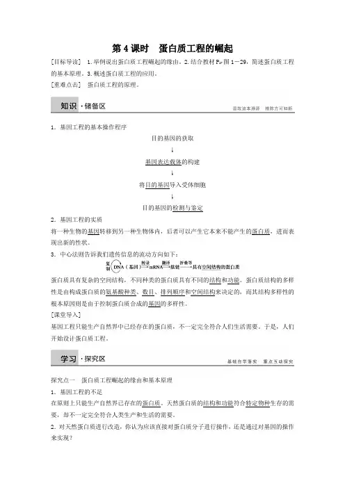【人教版】选修三学案与检测：专题1(4)蛋白质工程的崛起(含答案)x