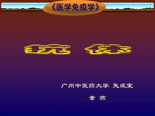 抗体