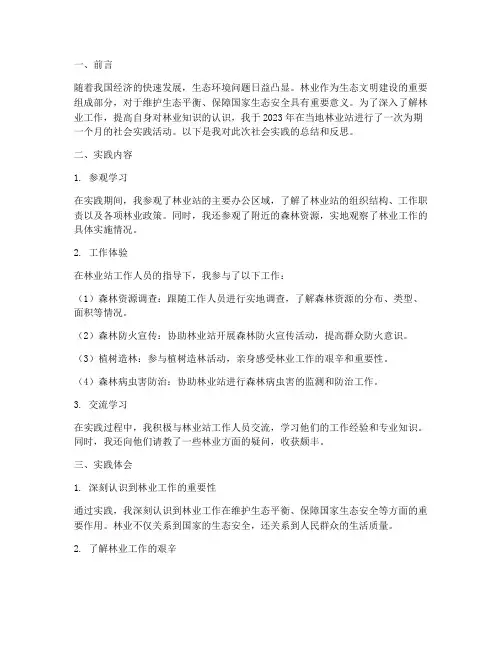 林业站社会实践报告