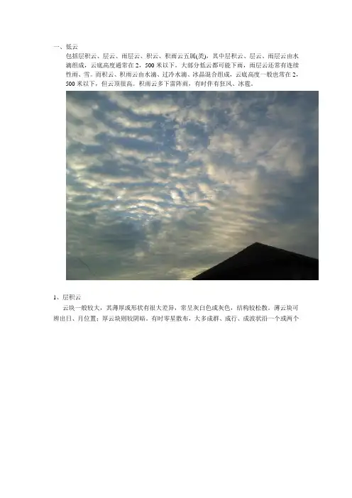 云的种类