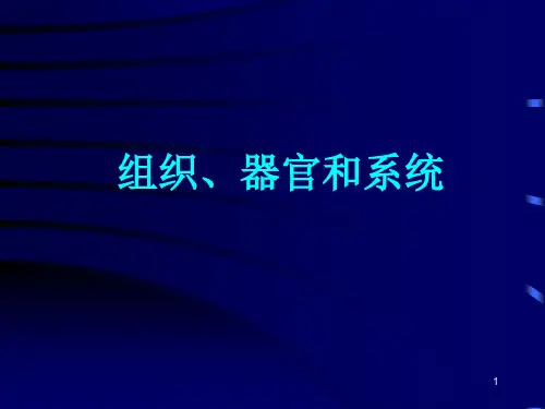 组织、器官和系统