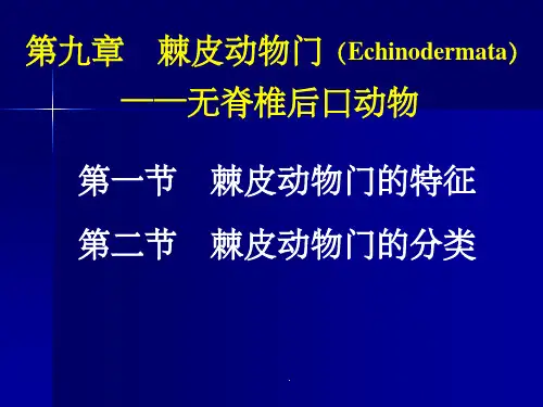 第九章--棘皮动物门ppt课件