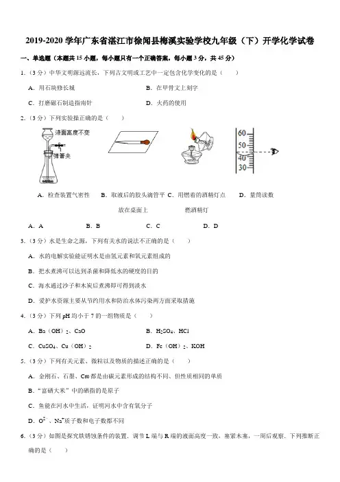 2019-2020学年广东省湛江市徐闻县梅溪实验学校九年级(下)开学化学试卷