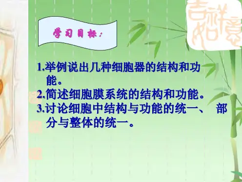 高中【生物】32细胞器 【教学PPT】(共24张PPT)