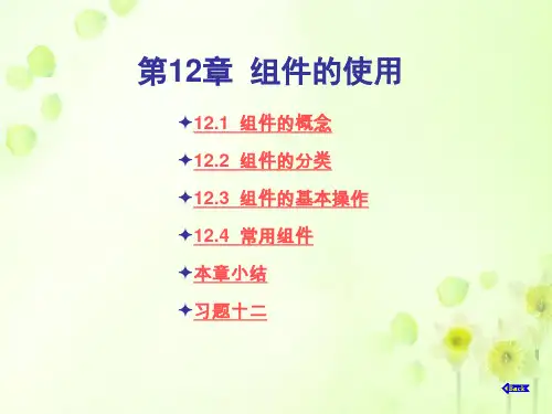 FLASH组件的认识和使用
