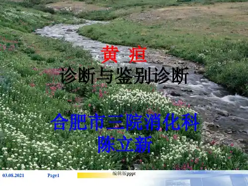 黄疸鉴别诊断完整版本