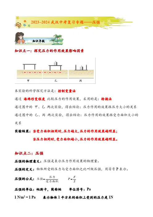2024年中考物理复习专题——压强
