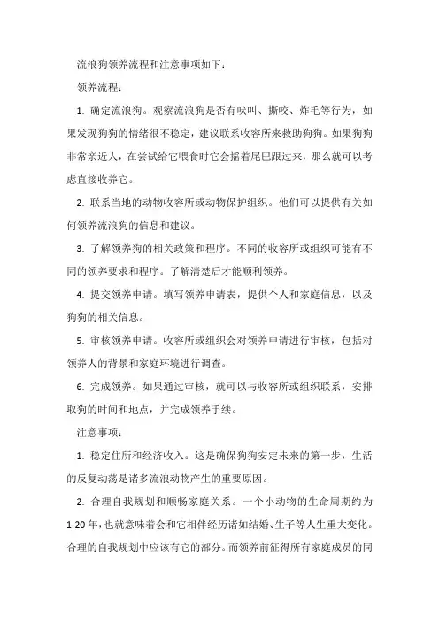 流浪狗领养流程及注意事项