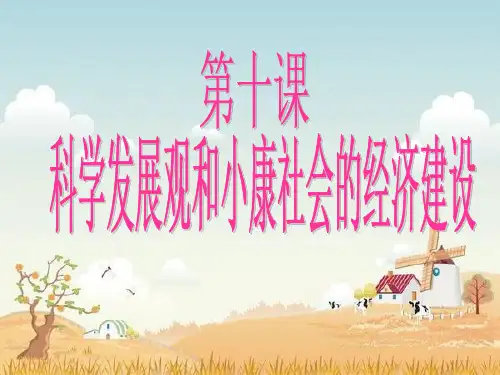 高一政治必修一《科学发展观和小康社会的经济建设》