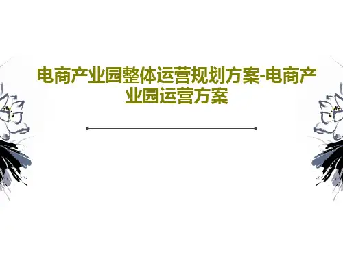 电商产业园整体运营规划方案-电商产业园运营方案PPT文档37页
