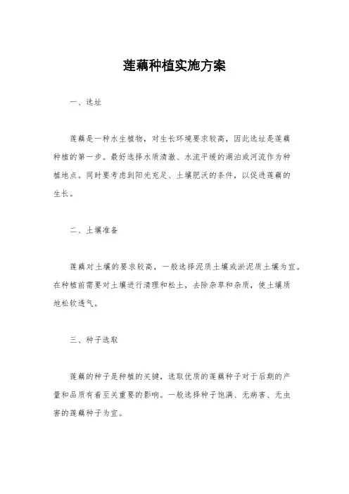 莲藕种植实施方案
