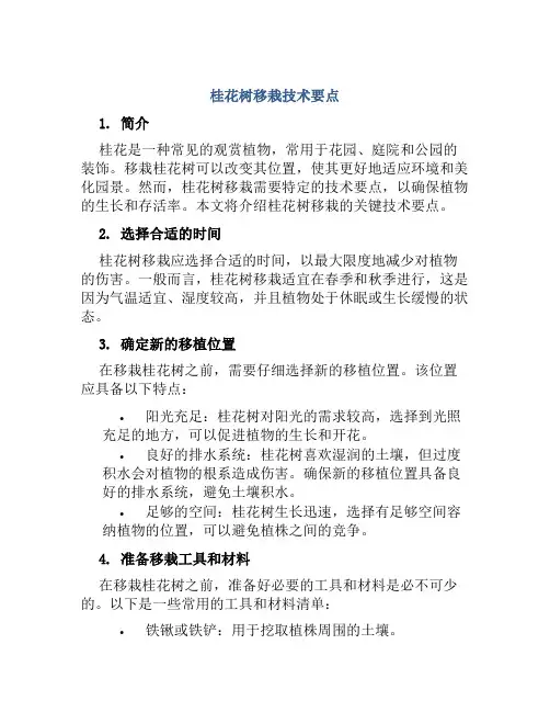 桂花树移栽技术要点